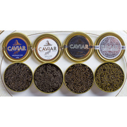 50g+50g Zarendom Kaviar vom Sibirischen Stör
